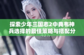 探索少年三国志2中典韦神兵选择的最佳策略与搭配分析