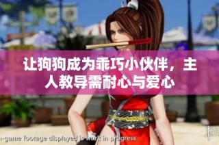 让狗狗成为乖巧小伙伴，主人教导需耐心与爱心