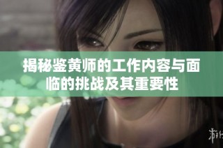 揭秘鉴黄师的工作内容与面临的挑战及其重要性