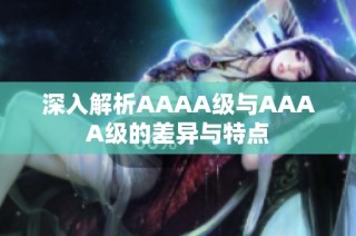 深入解析AAAA级与AAAA级的差异与特点