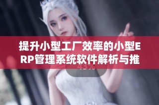 提升小型工厂效率的小型ERP管理系统软件解析与推荐