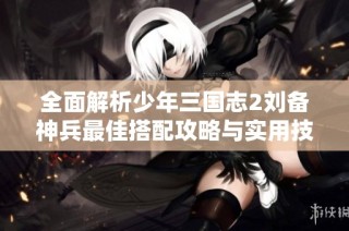 全面解析少年三国志2刘备神兵最佳搭配攻略与实用技巧