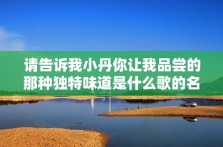 请告诉我小丹你让我品尝的那种独特味道是什么歌的名称