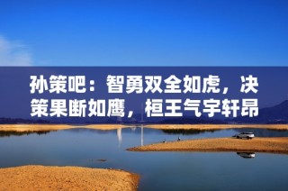 孙策吧：智勇双全如虎，决策果断如鹰，桓王气宇轩昂，才华横溢展风采