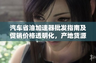 汽车省油加速器批发指南及促销价格透明化，产地货源全解析