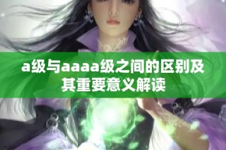a级与aaaa级之间的区别及其重要意义解读
