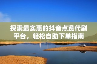 探索最实惠的抖音点赞代刷平台，轻松自助下单指南