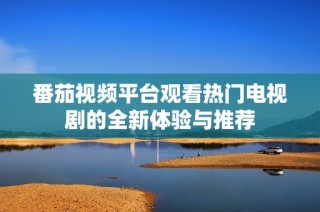 番茄视频平台观看热门电视剧的全新体验与推荐