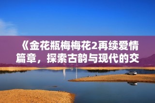 《金花瓶梅梅花2再续爱情篇章，探索古韵与现代的交融》
