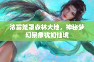 浓雾笼罩森林大地，神秘梦幻景象犹如仙境