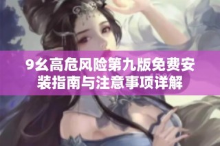 9幺高危风险第九版免费安装指南与注意事项详解