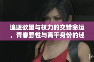 追逐欲望与权力的交错命运，青春野性与高干身份的迷幻交融