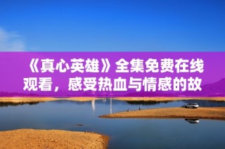 《真心英雄》全集免费在线观看，感受热血与情感的故事魅力