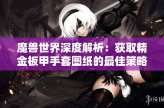 魔兽世界深度解析：获取精金板甲手套图纸的最佳策略与途径