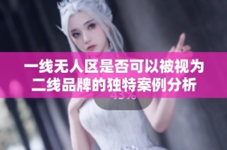 一线无人区是否可以被视为二线品牌的独特案例分析