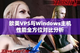 欧美VPS与Windows主机性能全方位对比分析