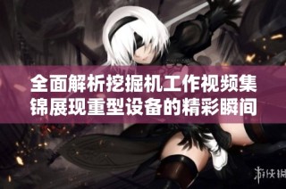 全面解析挖掘机工作视频集锦展现重型设备的精彩瞬间
