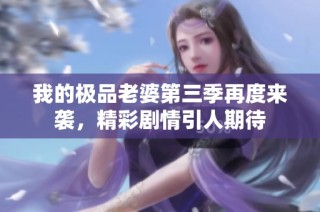 我的极品老婆第三季再度来袭，精彩剧情引人期待