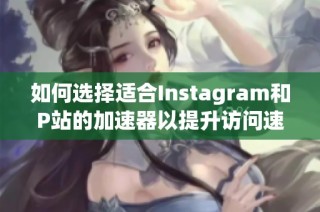 如何选择适合Instagram和P站的加速器以提升访问速度和体验
