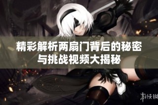精彩解析两扇门背后的秘密与挑战视频大揭秘