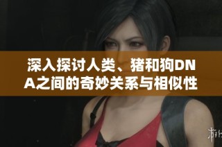 深入探讨人类、猪和狗DNA之间的奇妙关系与相似性分析