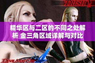 精华区与二区的不同之处解析 金三角区域详解与对比分析