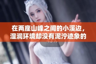 在两座山峰之间的小溪边，湿润环境却没有泥泞迹象的独特魅力