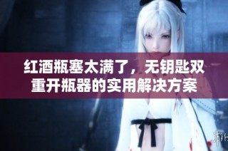 红酒瓶塞太满了，无钥匙双重开瓶器的实用解决方案