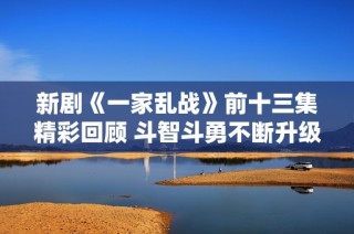 新剧《一家乱战》前十三集精彩回顾 斗智斗勇不断升级的家庭纷争