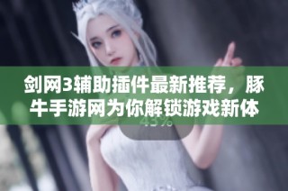 剑网3辅助插件最新推荐，豚牛手游网为你解锁游戏新体验