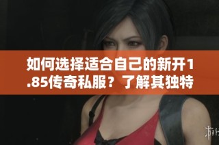 如何选择适合自己的新开1.85传奇私服？了解其独特特点解析