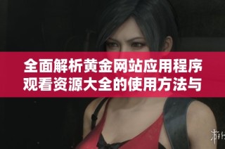 全面解析黄金网站应用程序观看资源大全的使用方法与技巧