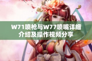 W71喷枪与W77喷嘴详细介绍及操作视频分享
