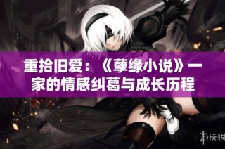 重拾旧爱：《孽缘小说》一家的情感纠葛与成长历程