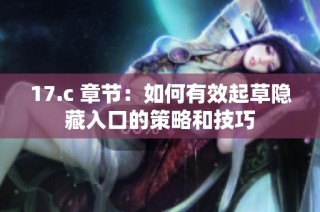 17.c 章节：如何有效起草隐藏入口的策略和技巧