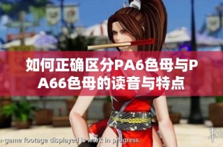 如何正确区分PA6色母与PA66色母的读音与特点