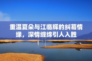 重温夏朵与江临辉的纠葛情缘，深情缠绵引人入胜