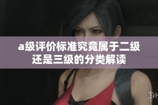 a级评价标准究竟属于二级还是三级的分类解读