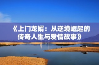 《上门龙婿：从逆境崛起的传奇人生与爱情故事》