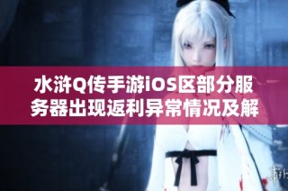 水浒Q传手游iOS区部分服务器出现返利异常情况及解决方案解析