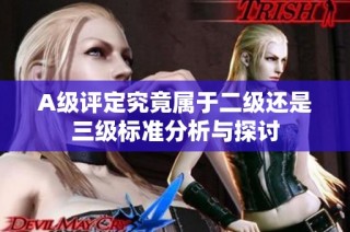 A级评定究竟属于二级还是三级标准分析与探讨