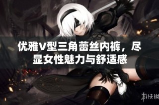 优雅V型三角蕾丝内裤，尽显女性魅力与舒适感