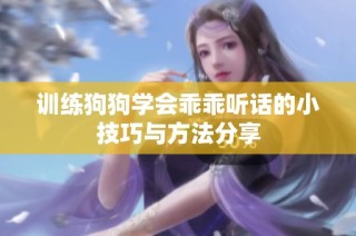 训练狗狗学会乖乖听话的小技巧与方法分享
