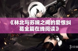 《林北与苏婉之间的爱恨纠葛全篇在线阅读》