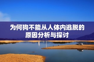 为何狗不能从人体内逃脱的原因分析与探讨