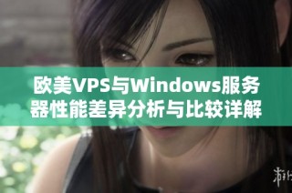 欧美VPS与Windows服务器性能差异分析与比较详解