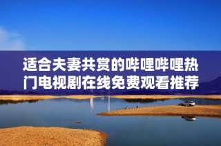适合夫妻共赏的哔哩哔哩热门电视剧在线免费观看推荐