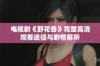 电视剧《野花香》完整高清观看途径与剧情解析