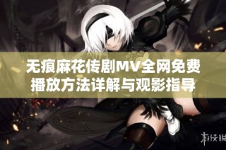 无痕麻花传剧MV全网免费播放方法详解与观影指导
