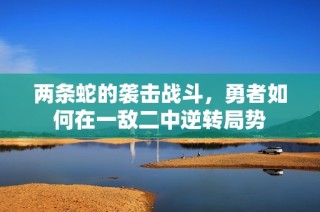 两条蛇的袭击战斗，勇者如何在一敌二中逆转局势